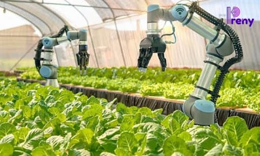 Cảm biến AI trong nông nghiệp