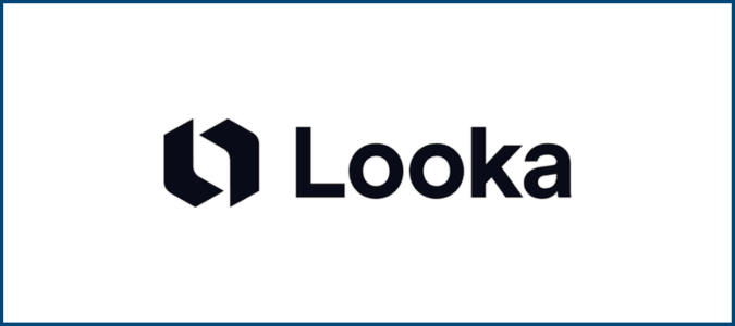 Looka Logo AI