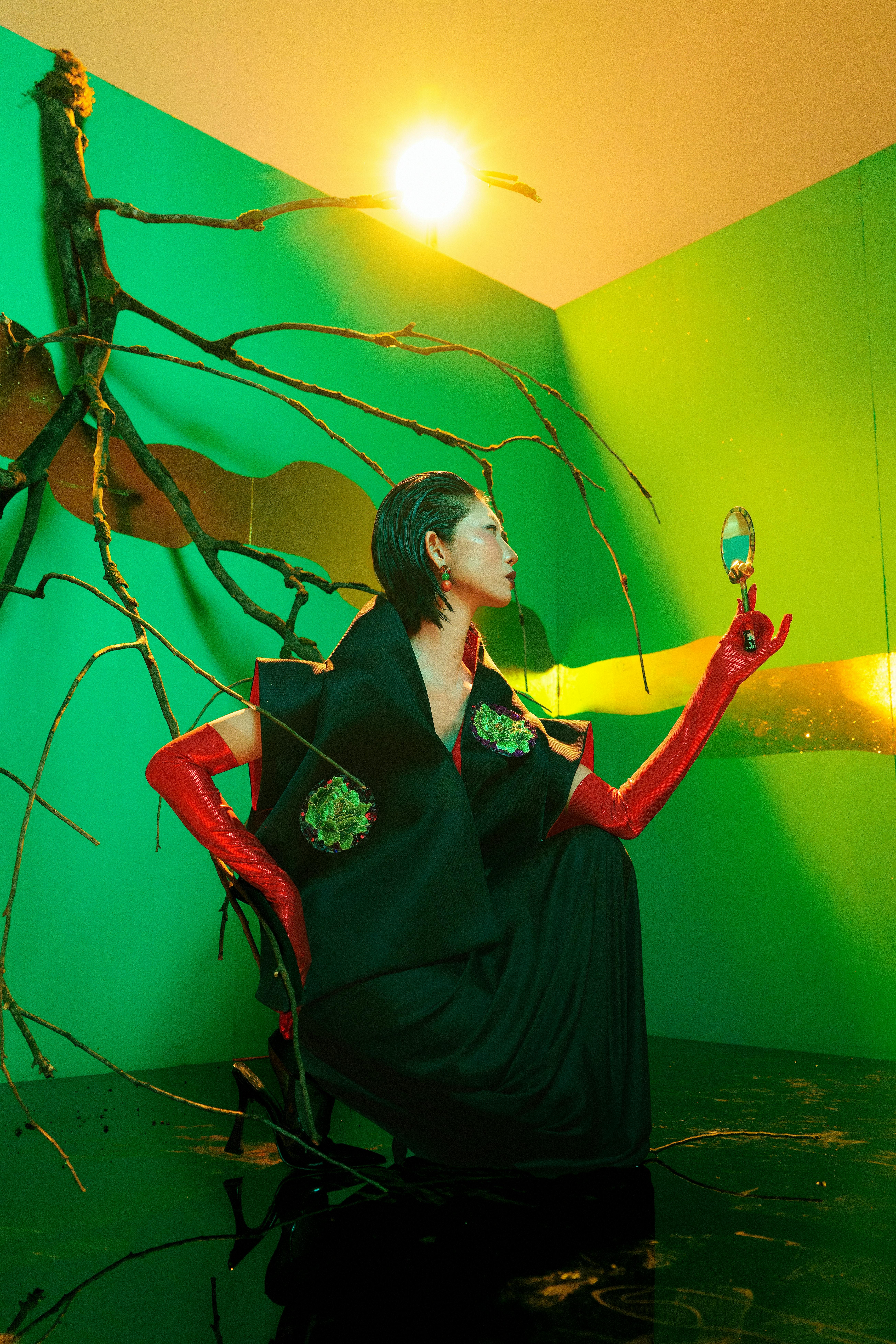 Gemini prompt example