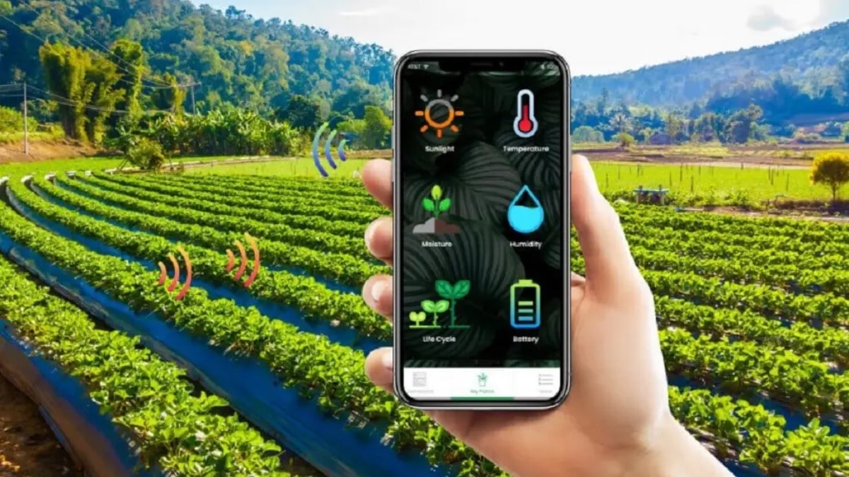 7 ứng dụng AI trí tuệ nhân tạo trong nông nghiệp 2025